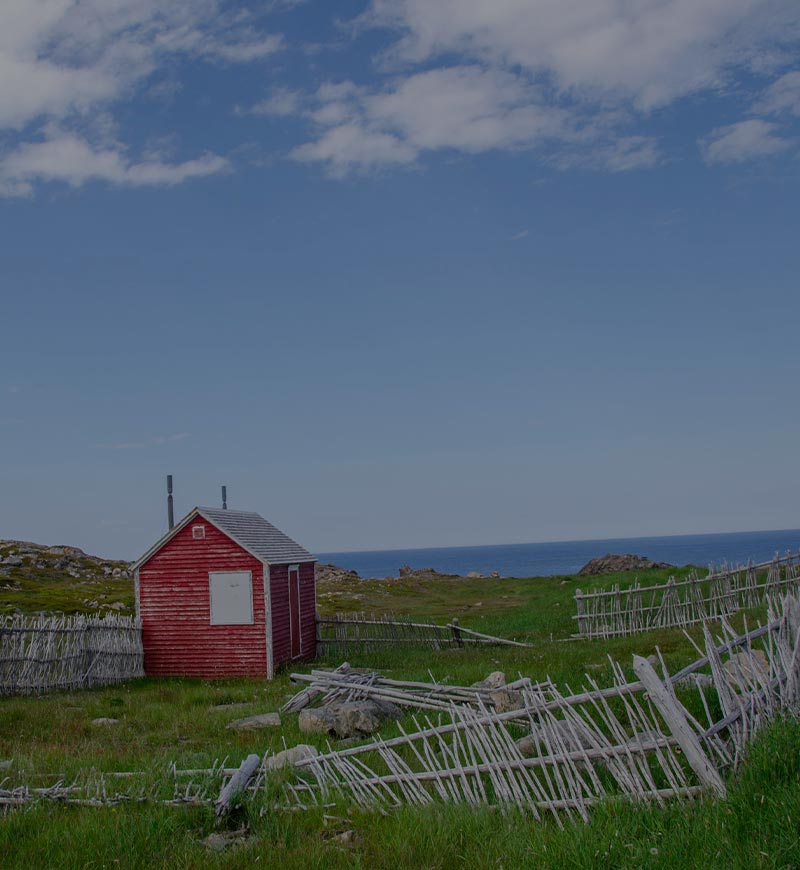 New Brunswick - Category 4
