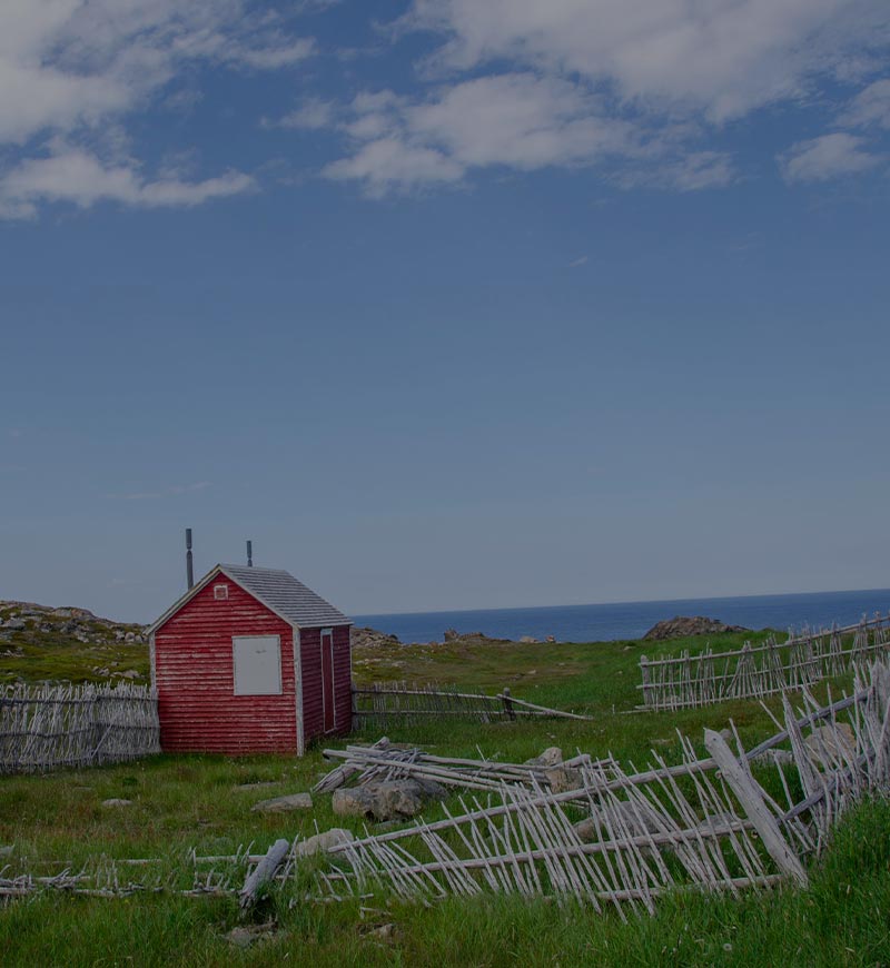 New Brunswick - Category 4